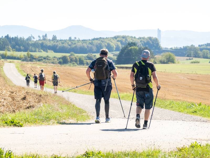 Eine Gruppe von Menschen wandert auf einem ländlichen Weg durch eine offene Landschaft mit Feldern und Wäldern im Hintergrund.
