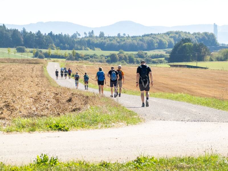 Eine Gruppe von Wanderern mit Rucksäcken läuft einen Feldweg entlang in einer ländlichen Landschaft mit Wiesen und bewaldeten Hügeln im Hintergrund.