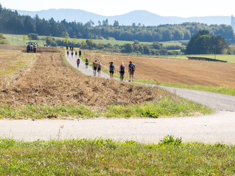 Eine Gruppe von Menschen wandert auf einem ländlichen Weg durch eine weite Landschaft, während ein Traktor auf einem nahegelegenen Feld arbeitet.